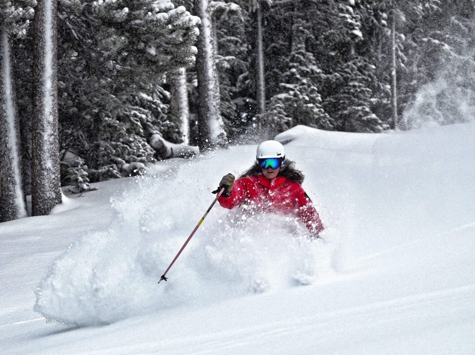 natalie newberry, winter park.JPG